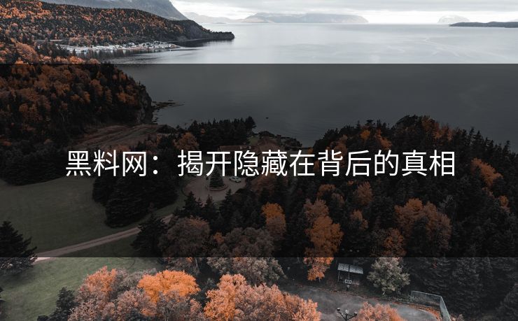 黑料网:揭开隐藏在背后的真相