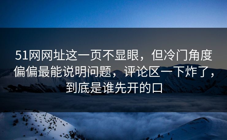 51网网址这一页不显眼，但冷门角度偏偏最能说明问题，评论区一下炸了，到底是谁先开的口