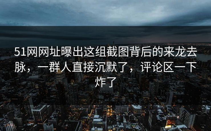 51网网址曝出这组截图背后的来龙去脉，一群人直接沉默了，评论区一下炸了