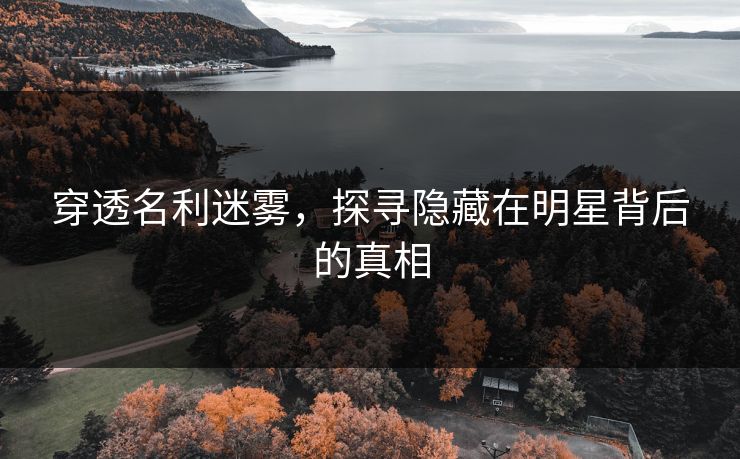 穿透名利迷雾,探寻隐藏在明星背后的真相