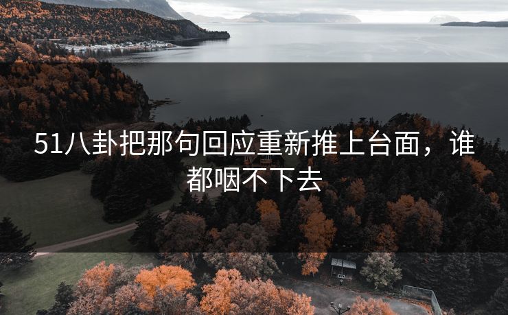 51八卦把那句回应重新推上台面,谁都咽不下去