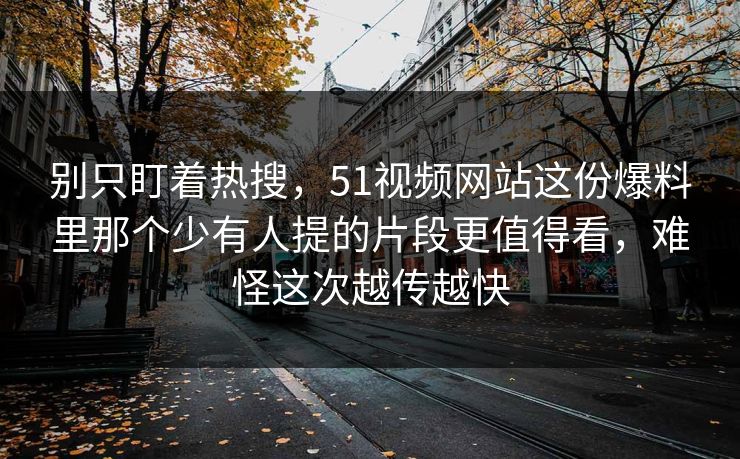 别只盯着热搜，51视频网站这份爆料里那个少有人提的片段更值得看，难怪这次越传越快